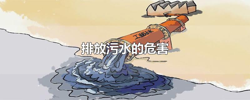 排放污水的危害-最新排放污水的危害整理解答