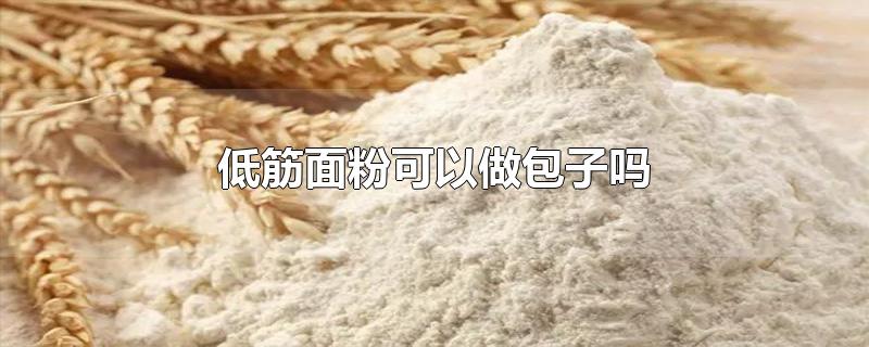 低筋面粉可以做包子吗-最新低筋面粉可以做包子吗整理解答