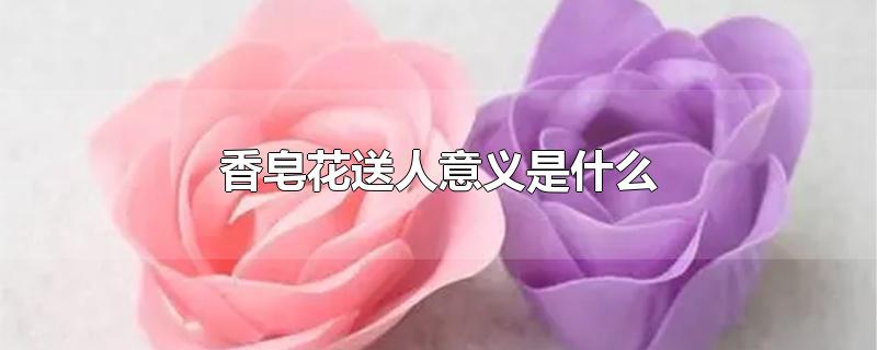 香皂花送人意义是什么-最新香皂花送人意义是什么整理解答