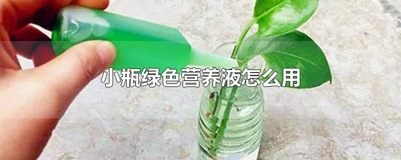 小瓶绿色营养液怎么用-最新小瓶绿色营养液怎么用整理解答