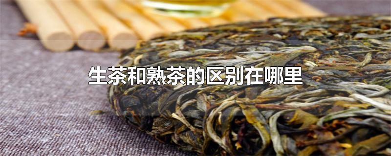 生茶和熟茶的区别在哪里-最新生茶和熟茶的区别在哪里整理解答