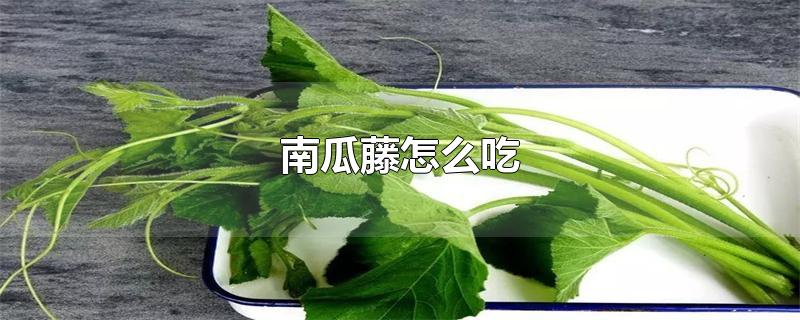 南瓜藤怎么吃-最新南瓜藤怎么吃整理解答