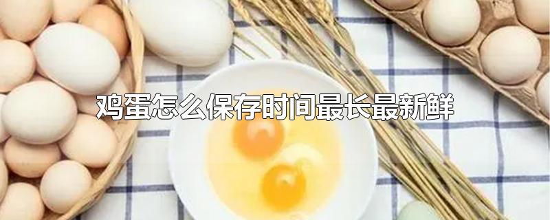 鸡蛋怎么保存时间最长最新鲜-最新鸡蛋怎么保存时间最长最新鲜整理解答