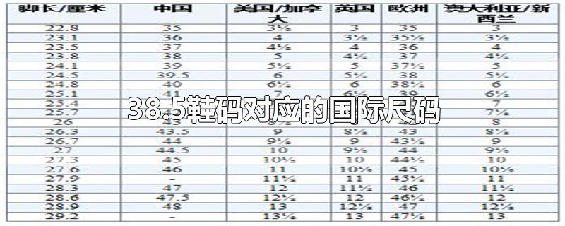 38.5鞋码对应的国际尺码