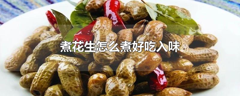 煮花生怎么煮好吃入味