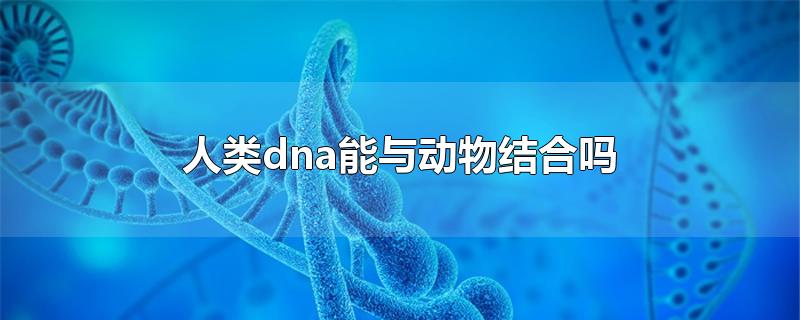 人类dna能与动物结合吗