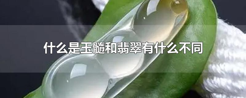 什么是玉髓和翡翠有什么不同-最新什么是玉髓和翡翠有什么不同整理解答