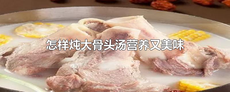 怎样炖大骨头汤营养又美味