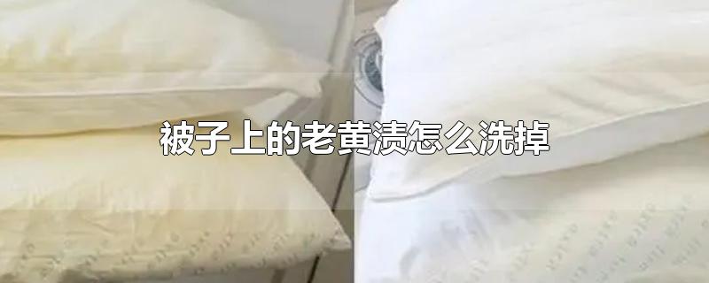 被子上的老黄渍怎么洗掉-最新被子上的老黄渍怎么洗掉整理解答