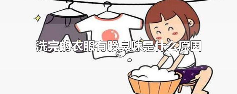 洗完的衣服有股臭味是什么原因-最新洗完的衣服有股臭味是什么原因整理解答