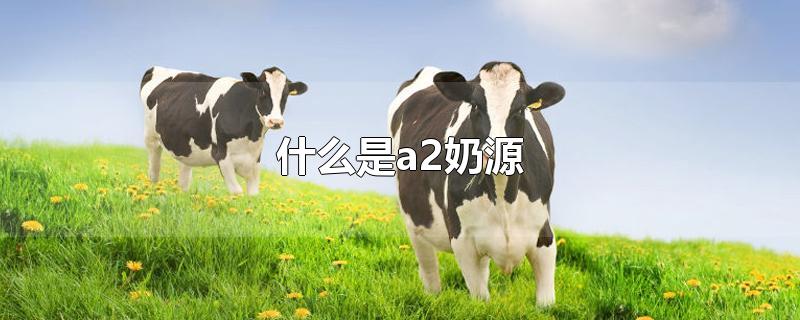 什么是a2奶源-最新什么是a2奶源整理解答