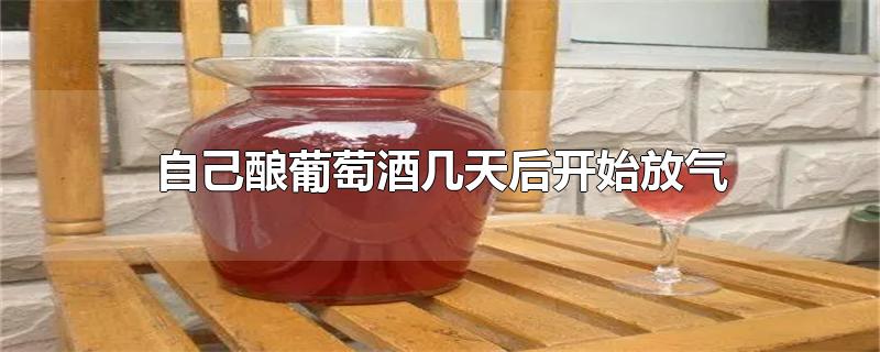 自己酿葡萄酒几天后开始放气