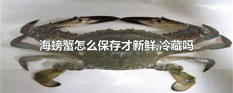 海螃蟹怎么保存才新鲜,冷藏吗-最新海螃蟹怎么保存才新鲜,冷藏吗整理解答