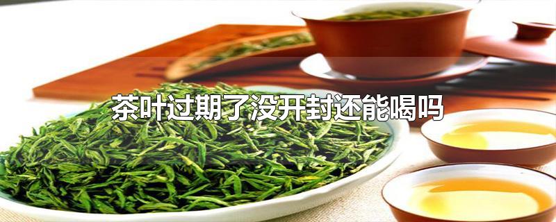 茶叶过期了没开封还能喝吗-最新茶叶过期了没开封还能喝吗整理解答