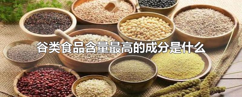 谷类食品含量最高的成分是什么-最新谷类食品含量最高的成分是什么整理解答