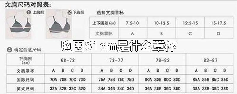 胸围81cm是什么罩杯-最新胸围81cm是什么罩杯整理解答