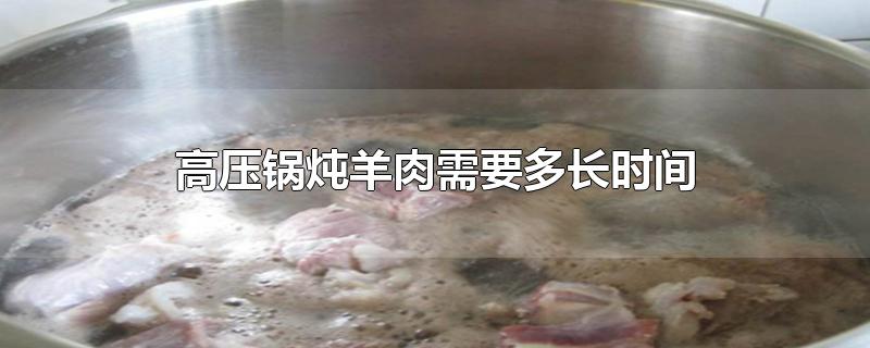 高压锅炖羊肉需要多长时间