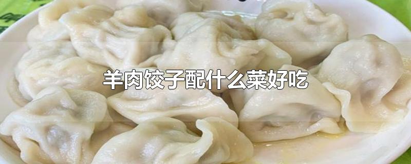 羊肉饺子配什么菜好吃-最新羊肉饺子配什么菜好吃整理解答