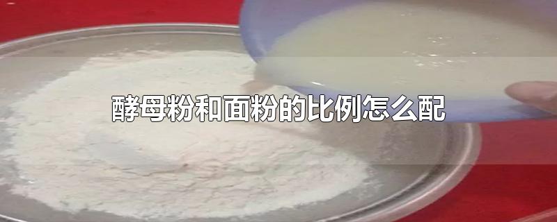 酵母粉和面粉的比例怎么配