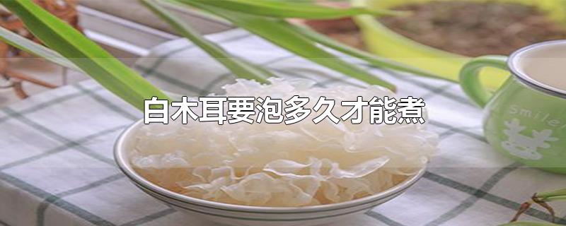 白木耳要泡多久才能煮-最新白木耳要泡多久才能煮整理解答