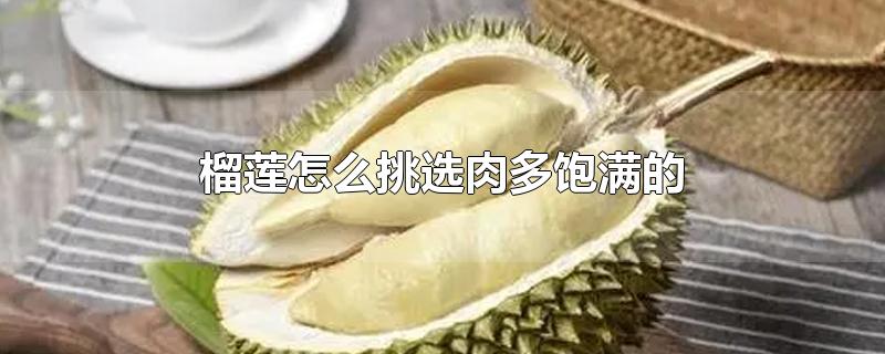 榴莲怎么挑选肉多饱满的-最新榴莲怎么挑选肉多饱满的整理解答