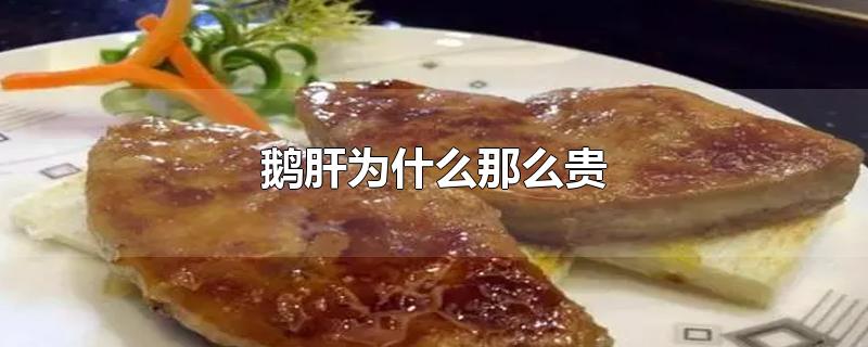 鹅肝为什么那么贵-最新鹅肝为什么那么贵整理解答