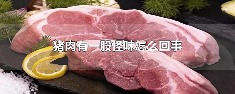 猪肉有一股怪味怎么回事-最新猪肉有一股怪味怎么回事整理解答