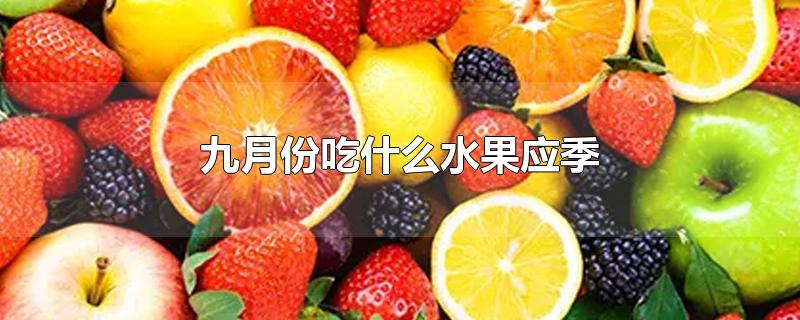 九月份吃什么水果应季