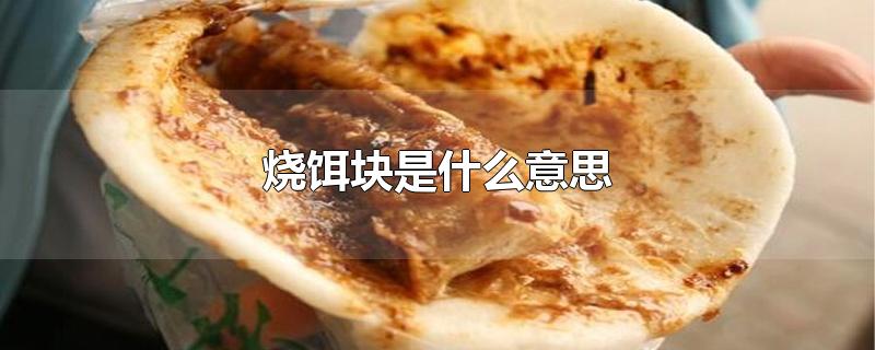 烧饵块是什么意思-最新烧饵块是什么意思整理解答