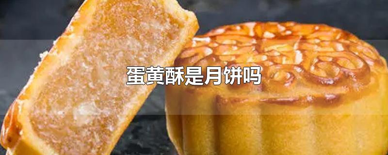 蛋黄酥是月饼吗-最新蛋黄酥是月饼吗整理解答