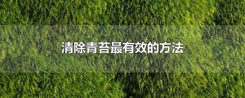 清除青苔最有效的方法-最新清除青苔最有效的方法整理解答