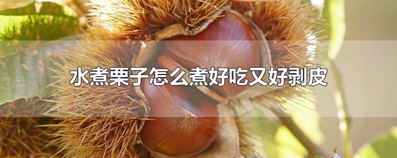 水煮栗子怎么煮好吃又好剥皮-最新水煮栗子怎么煮好吃又好剥皮整理解答