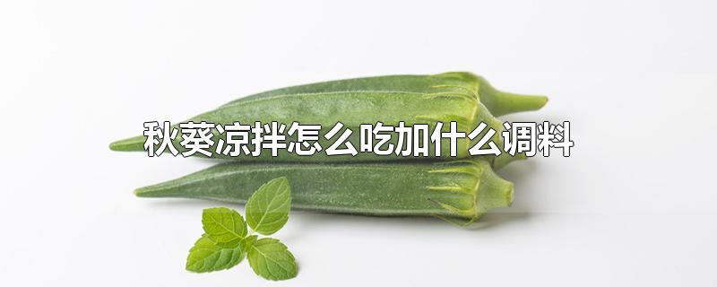 秋葵凉拌怎么吃加什么调料