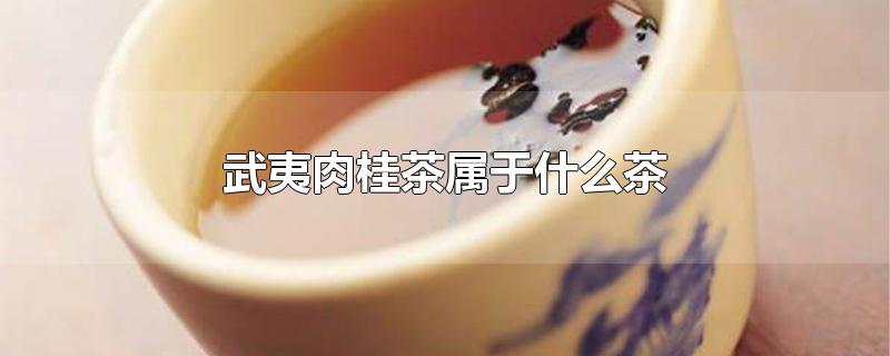 武夷肉桂茶属于什么茶