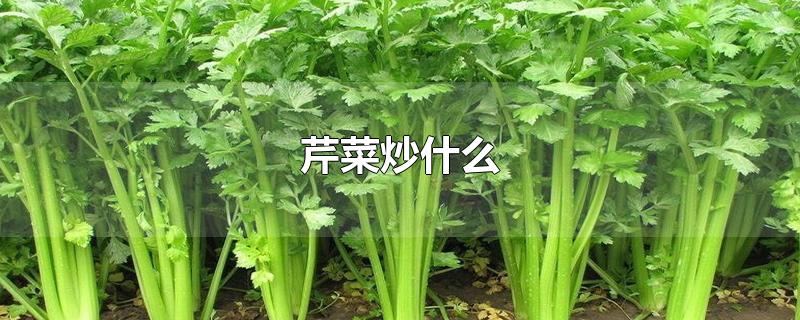 芹菜炒什么