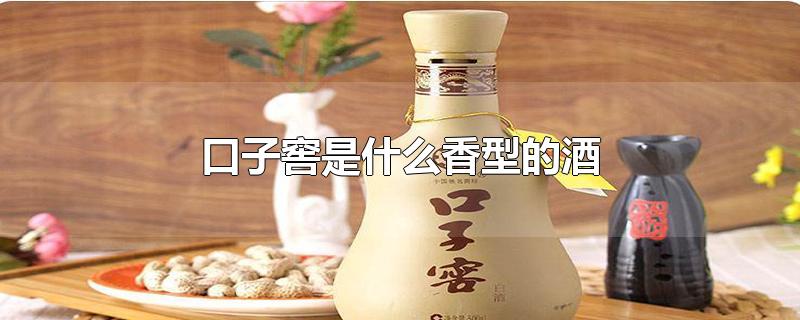 口子窖是什么香型的酒