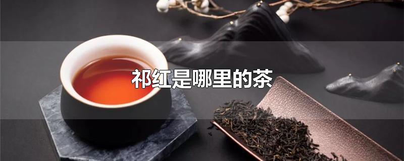 祁红是哪里的茶-最新祁红是哪里的茶整理解答