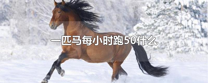 一匹马每小时跑50什么