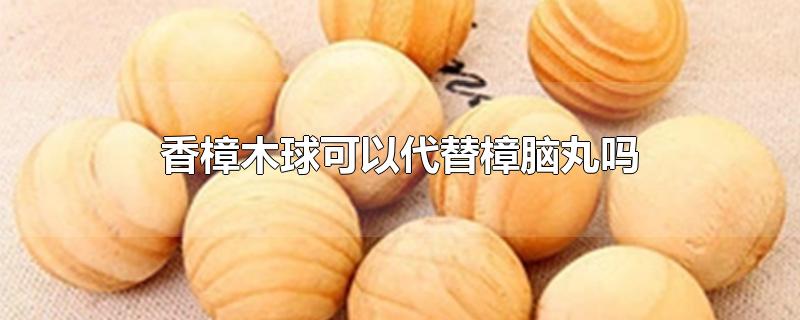 香樟木球可以代替樟脑丸吗