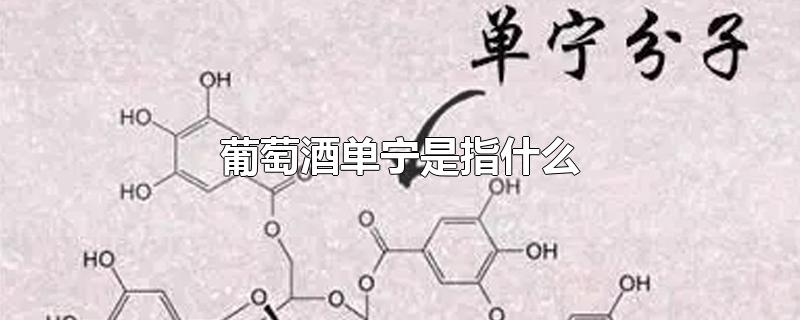 葡萄酒单宁是指什么-最新葡萄酒单宁是指什么整理解答