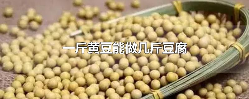 一斤黄豆能做几斤豆腐-最新一斤黄豆能做几斤豆腐整理解答