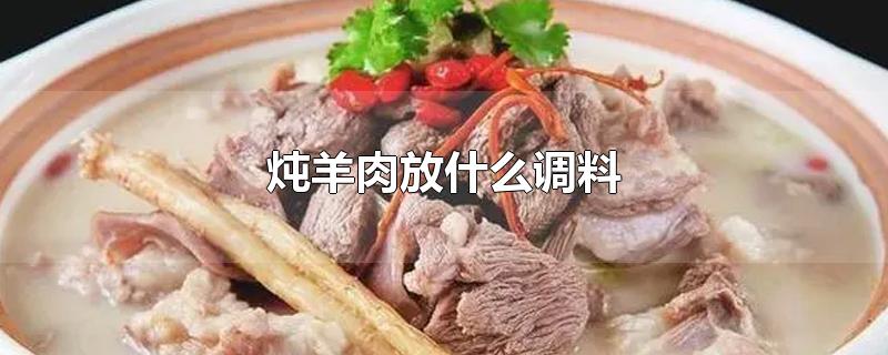 炖羊肉放什么调料-最新炖羊肉放什么调料整理解答