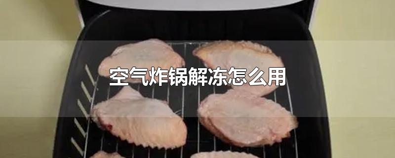 空气炸锅解冻怎么用-最新空气炸锅解冻怎么用整理解答