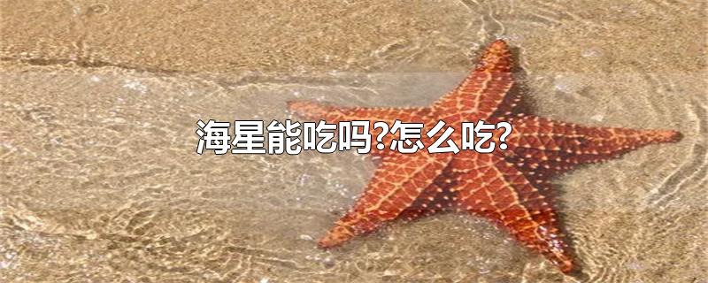 海星能吃吗?怎么吃?-最新海星能吃吗?怎么吃?整理解答