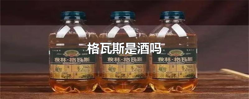 格瓦斯是酒吗-最新格瓦斯是酒吗整理解答