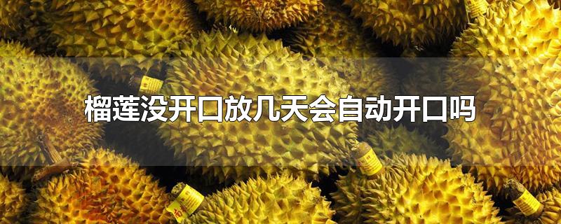 榴莲没开口放几天会自动开口吗-最新榴莲没开口放几天会自动开口吗整理解答