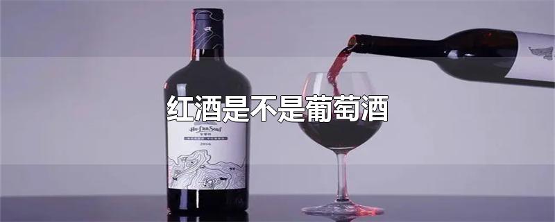 红酒是不是葡萄酒