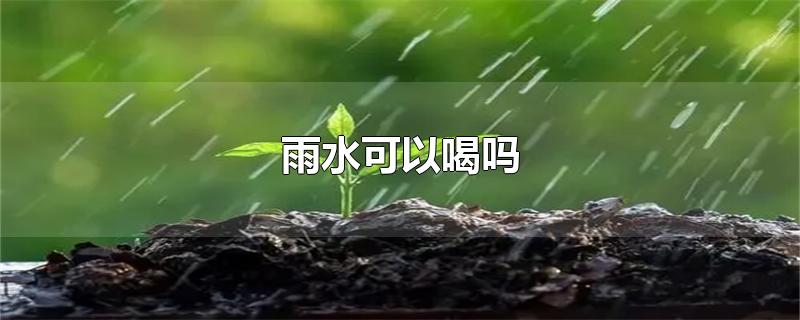 雨水可以喝吗