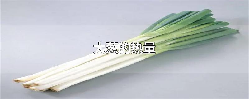 大葱的热量