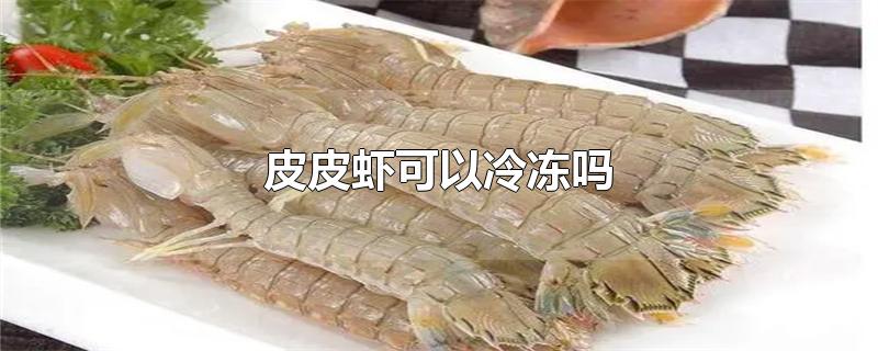 皮皮虾可以冷冻吗-最新皮皮虾可以冷冻吗整理解答